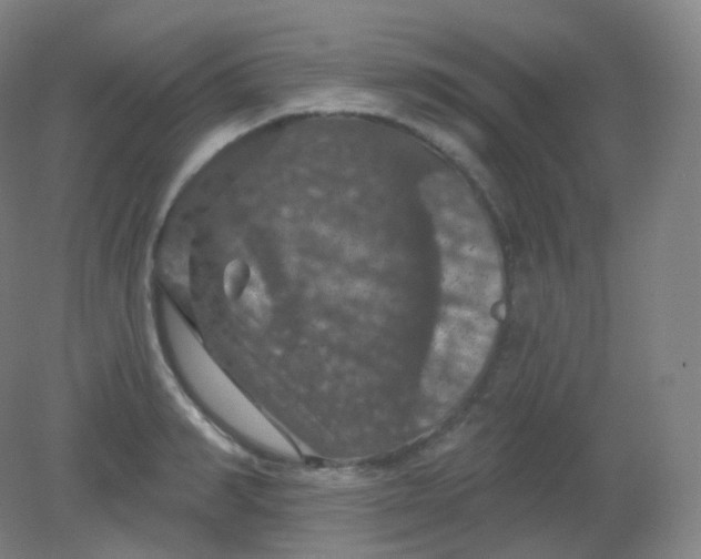 X0000082180990200702021748