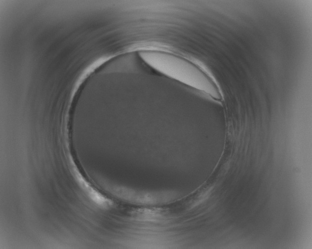 X0000082180995200702021748