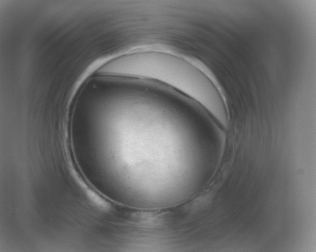 X0000082181005200702021747