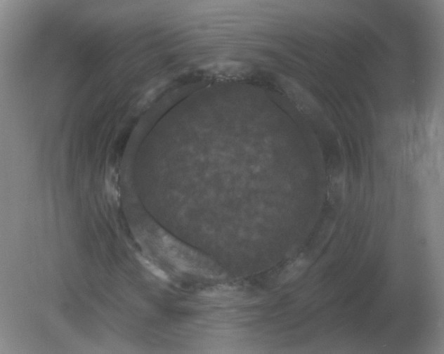 X0000082181010200702021747
