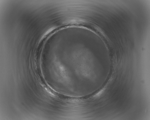 X0000082181018200702021747