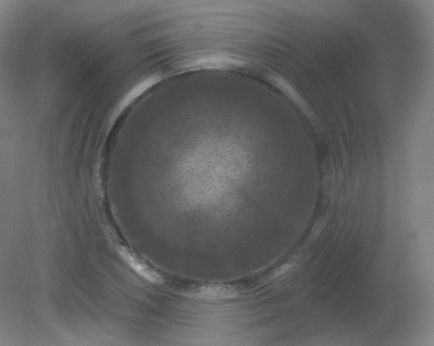 X0000082181026200702021747