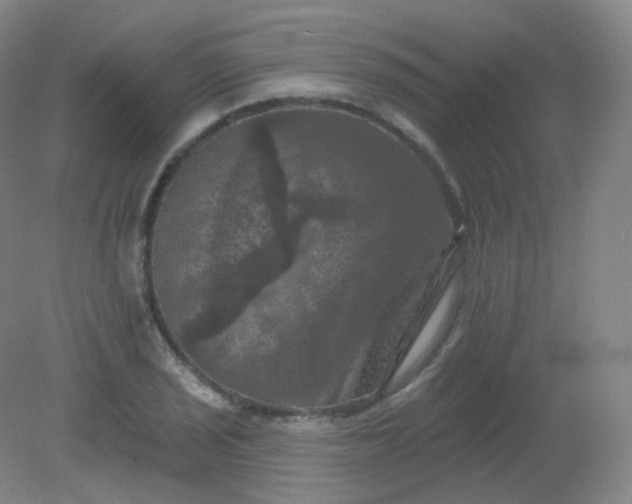 X0000082181029200702021747