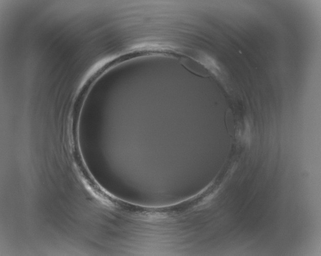 X0000082181030200702021747