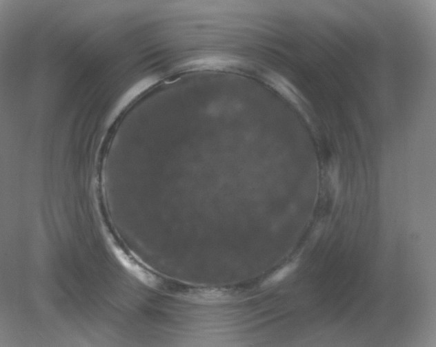 X0000082181042200702021747