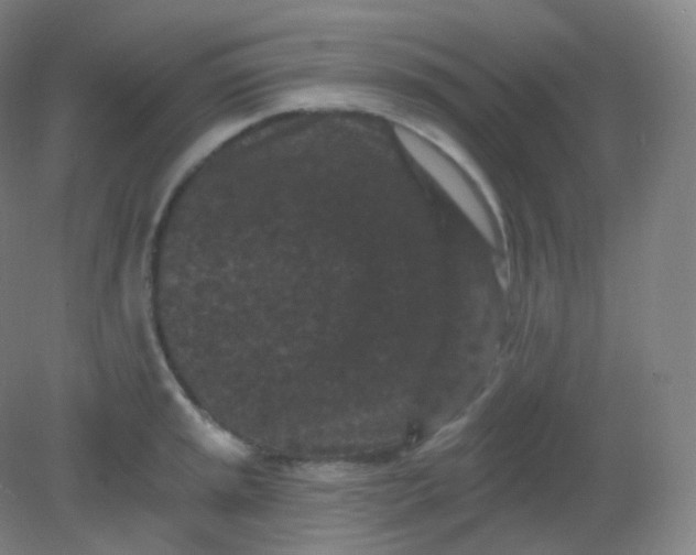 X0000082181045200702021747