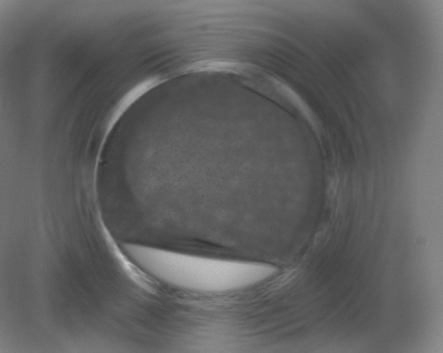 X0000082181050200702021747