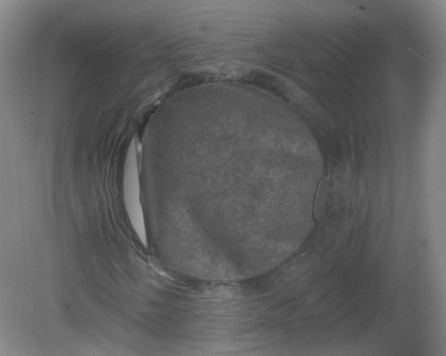 X0000082181058200702021747