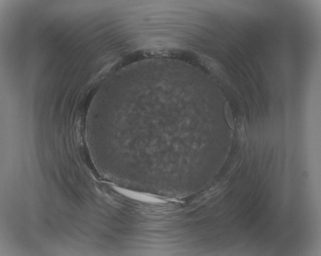 X0000082181060200702021746