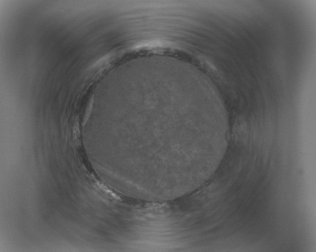 X0000082181062200702021746