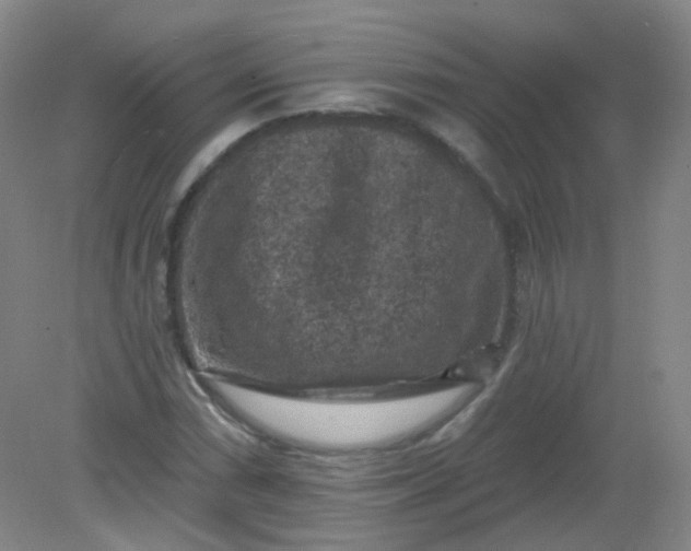 X0000082181066200702021746