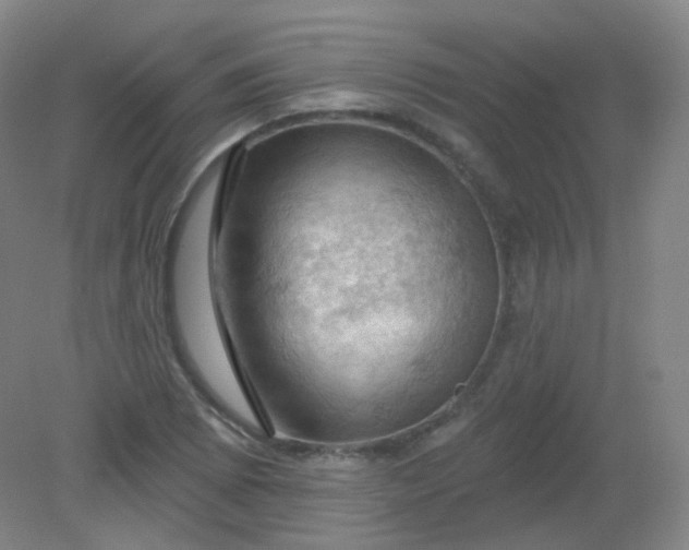 X0000082181073200702021746