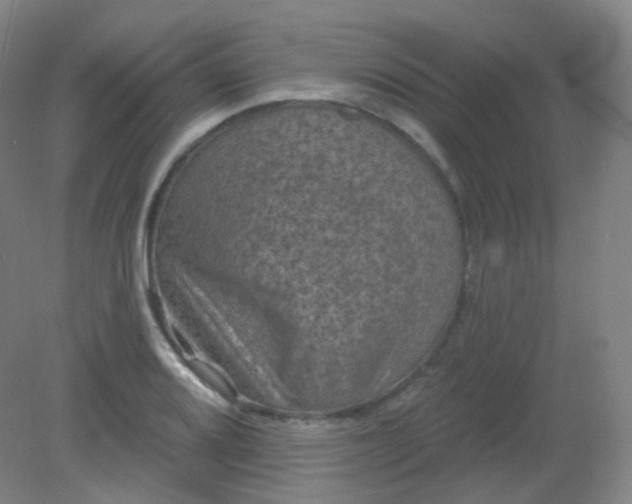 X0000082181080200702021746