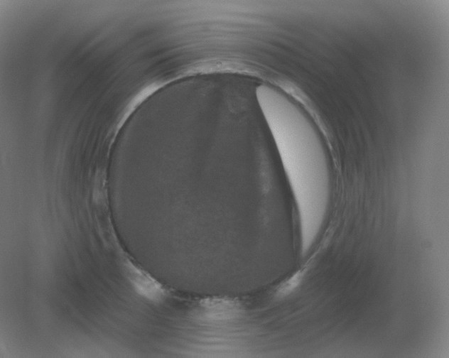 X0000082181089200702021746