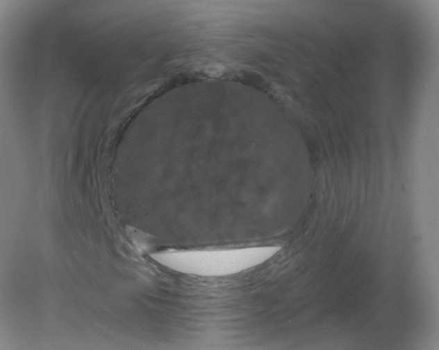 X0000082181105200702021745