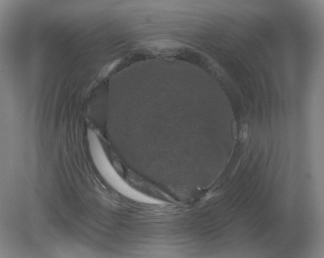 X0000082181108200702021745