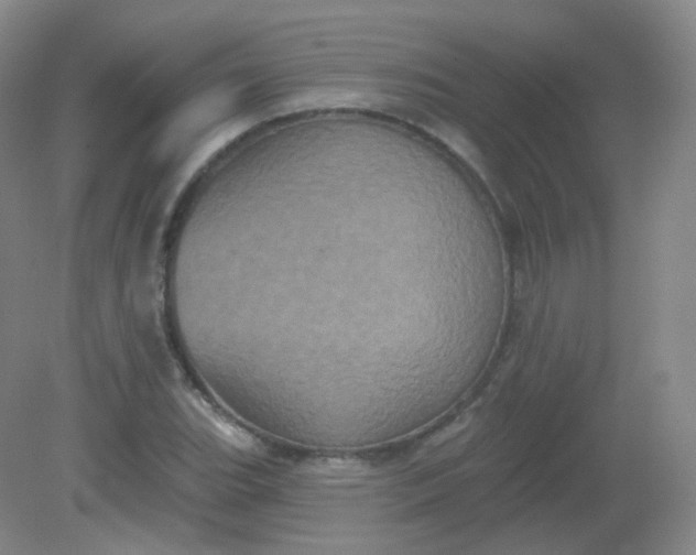 X0000082181119200702021745