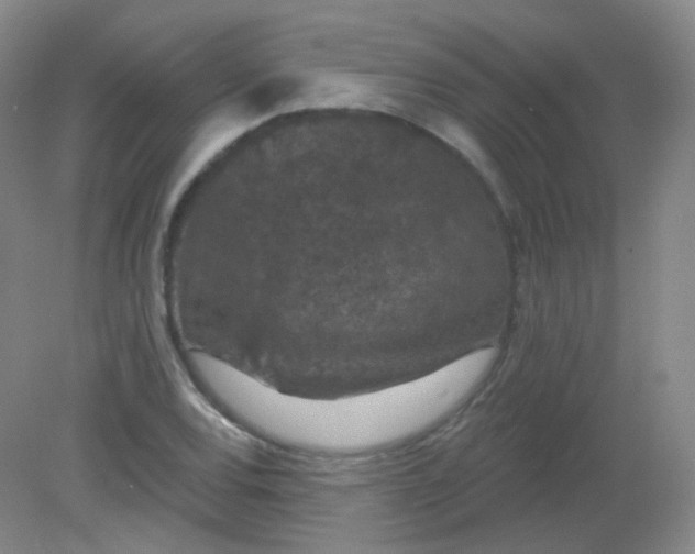 X0000082181120200702021745