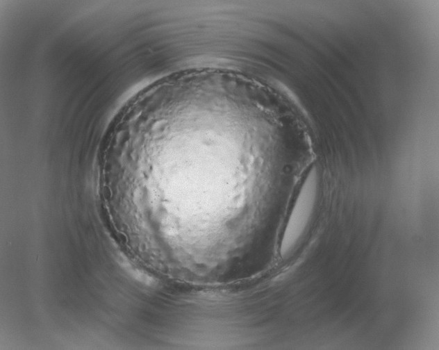 X0000082181125200702021745