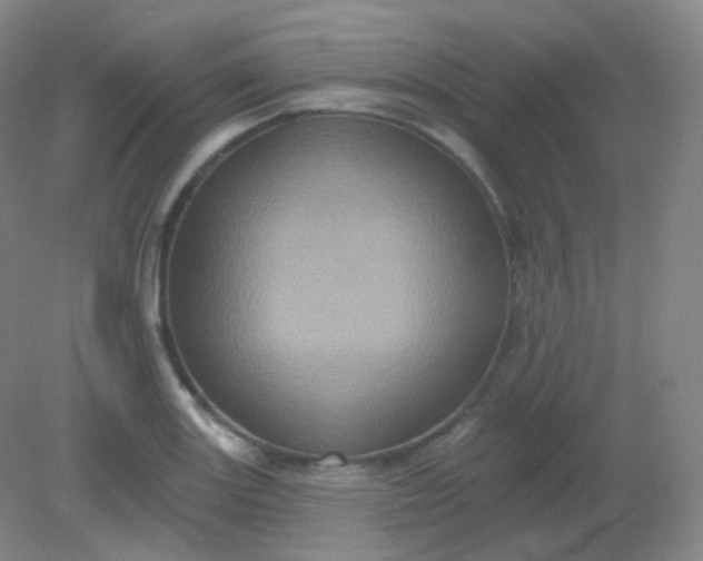 X0000082181131200702021745