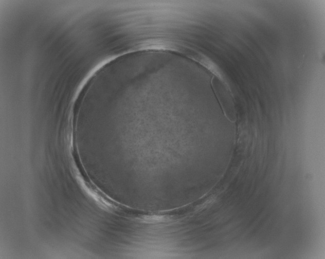 X0000082181132200702021745