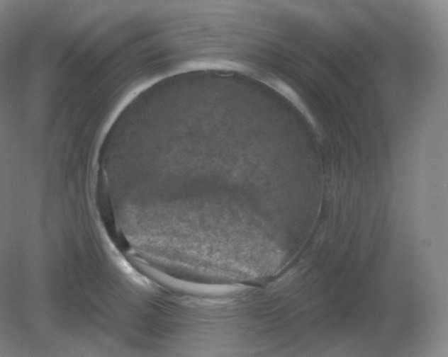 X0000082181140200702021746