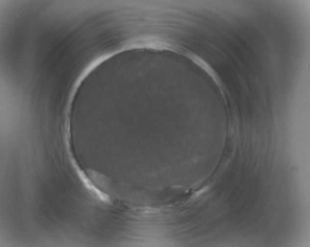 X0000082181144200702021746