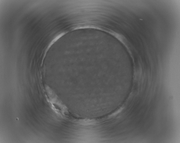 X0000082181145200702021746