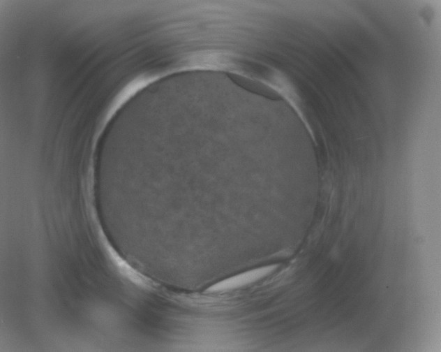 X0000082181147200702021746