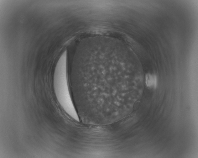 X0000082181155200702021745