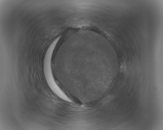 X0000082181156200702021745