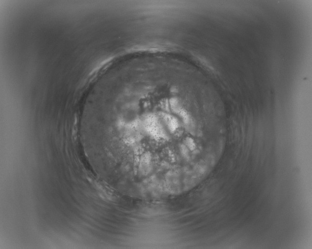 X0000082181158200702021745