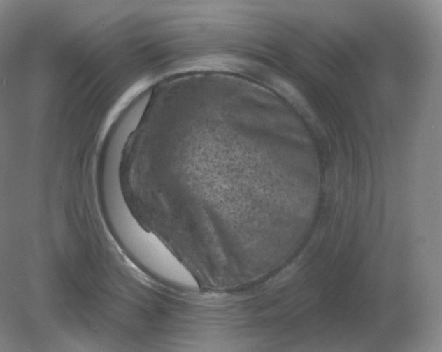 X0000082181180200702021744