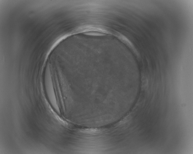 X0000082181182200702021744