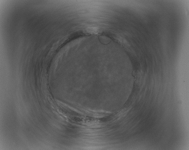 X0000082181201200702021743