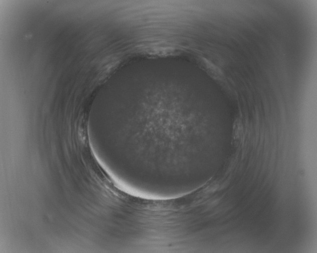 X0000082181202200702021743