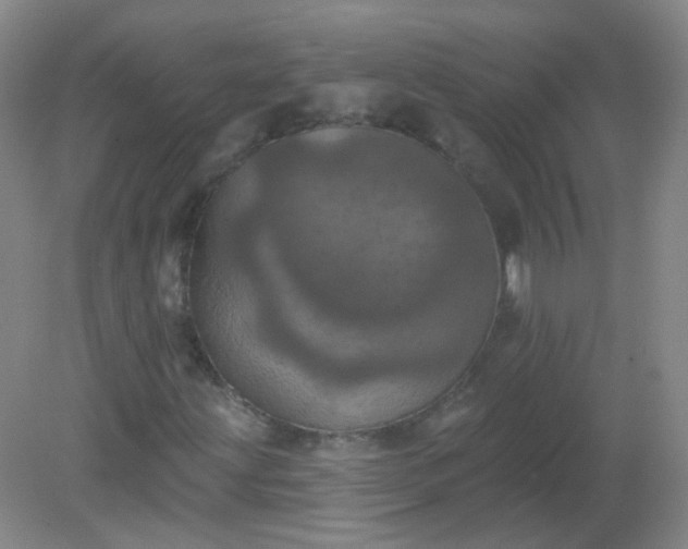 X0000082181203200702021743