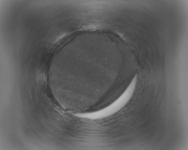 X0000082181206200702021743