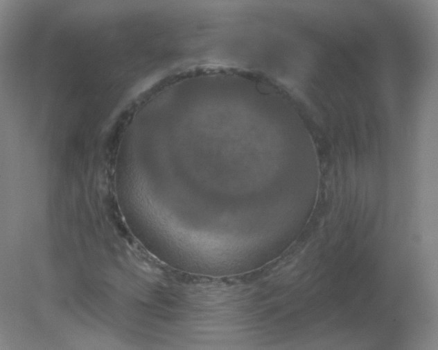 X0000082181207200702021743