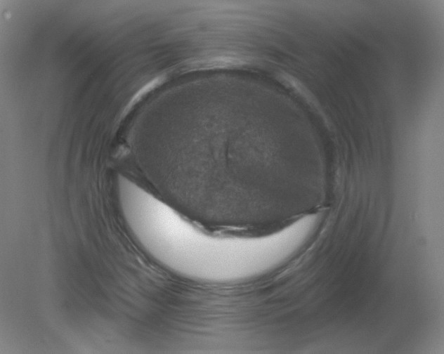 X0000082181210200702021743