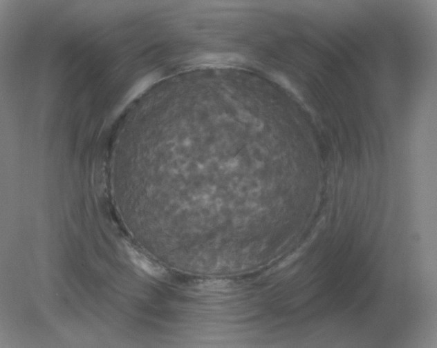 X0000082181211200702021744