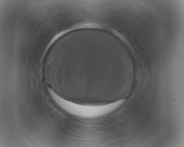 X0000082181222200702021744