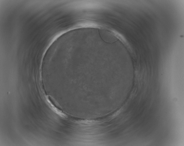 X0000082181236200702021744