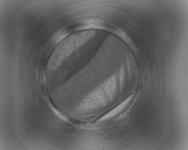 X0000082181241200702021744