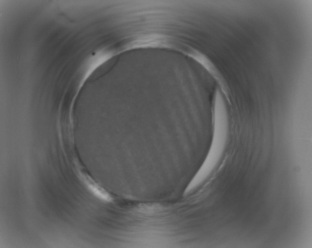 X0000082181242200702021744