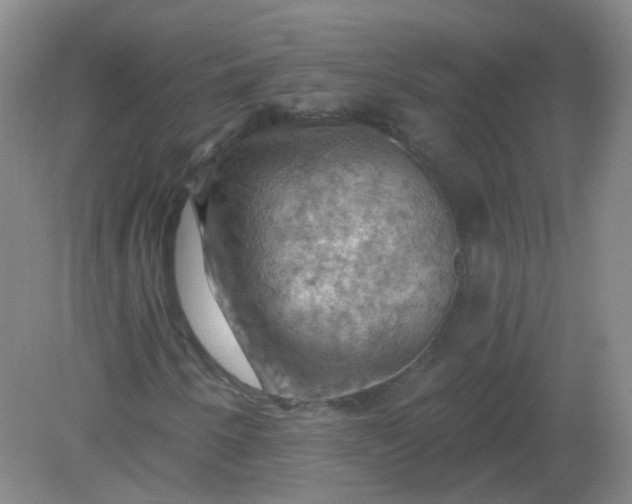 X0000082181250200702021743