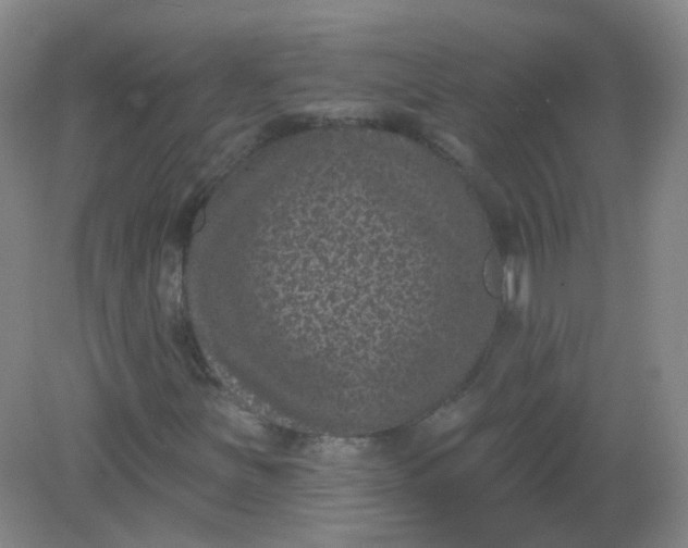 X0000082181251200702021743