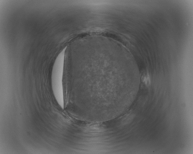 X0000082181252200702021743