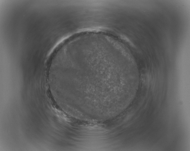 X0000082181256200702021743