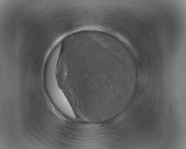 X0000082181272200702021743